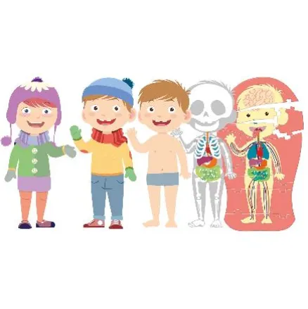 APRENDE EL CUERPO HUMANO -CLEM-