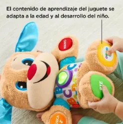 PERRITO PRIMEROS DESCUBRIMIENTOS